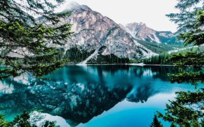 Civil Engineers Near Reno Nv